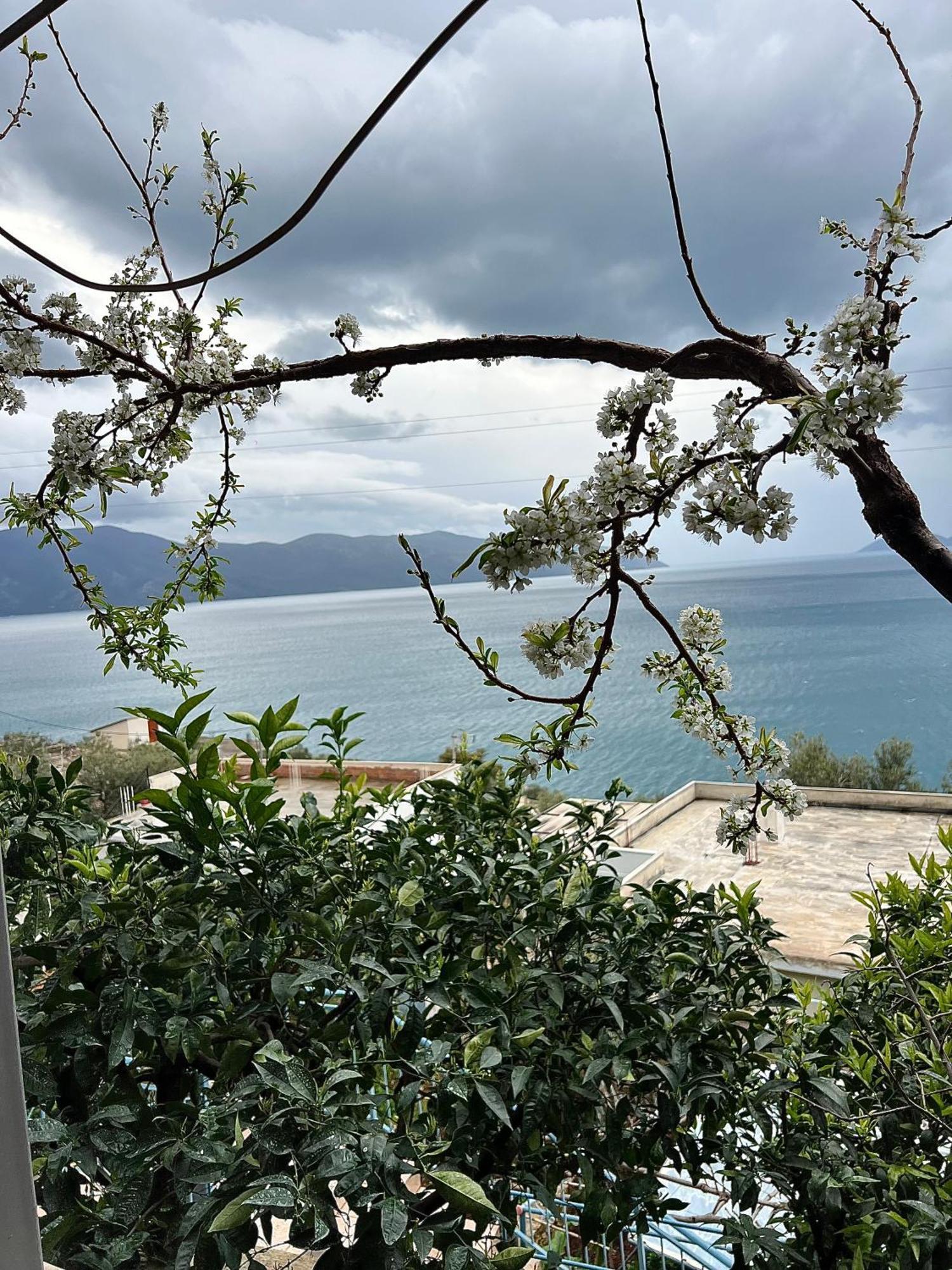 Marisi House Διαμέρισμα Vlorë Εξωτερικό φωτογραφία